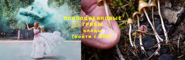 дмт Балабаново